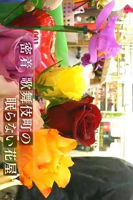 纪实72小时歌舞伎町的不眠花店