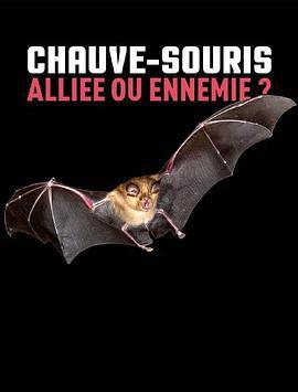 Chauve-souris:alliéeouennemie