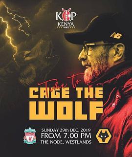 LiverpoolvsWolverhamptonWanderers