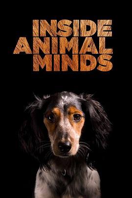 InsideAnimalMinds:Dogs&SuperSenses