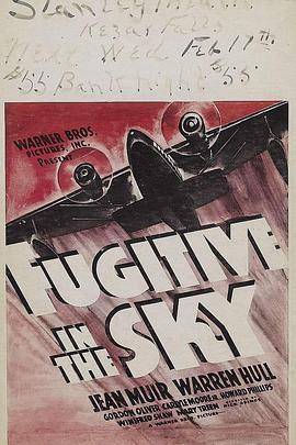 FugitiveintheSky