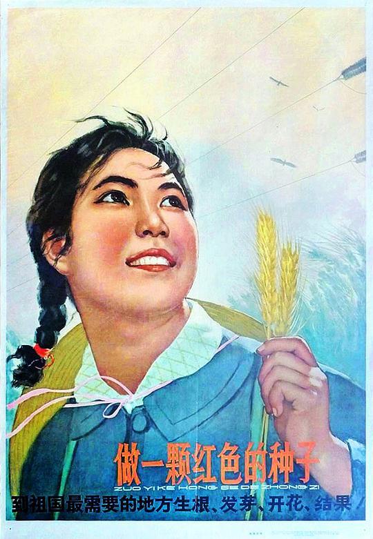 r a 萨尔瓦多