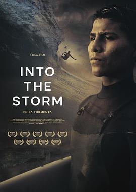 Intothestorm